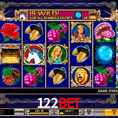 122bet Rio de Janeiro - Bonus Terms
